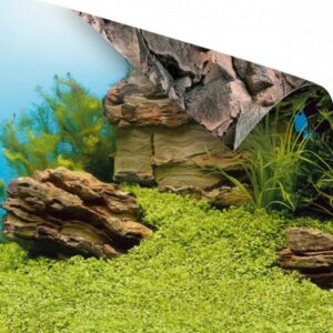 Poster 1 - S Size - 60X30 Cm