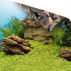 Poster 1 - S Size - 60X30 Cm