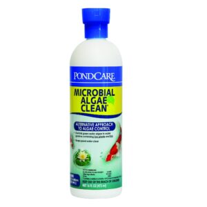 Api Pond Microbial Algae Clean, 16 Oz