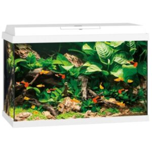 JUWEL AQUARIUM PRIMO 70 LED - WHITE