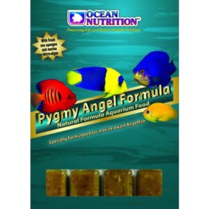 Frozen Pygmy Angel Formula 100G