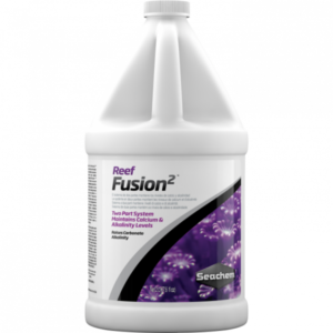 REEF FUSION 2 2L