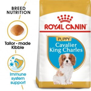 Royal Canin Breed Health Nutrition Cavalier King Charles Puppy Dog Food-1.5 Kg
