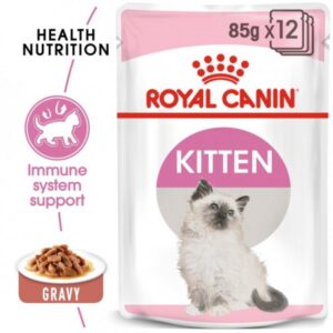 Royal Canin Feline Health Nutrition Kitten Gravy (Wet Cat Food - Pouches)