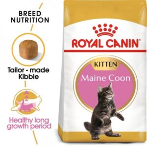 Royal Canin Feline Breed Nutrition Maine Coon Kitten Cat Food- 2 Kg