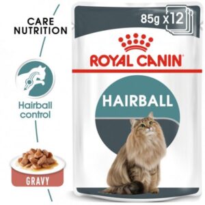 Royal Canin Feline Care Nutrition Hairball Gravy (Wet Cat Food - Pouches)