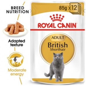 Royal Canin Feline Breed Nutrition British Shorthair (Wet Cat Food - Pouches)