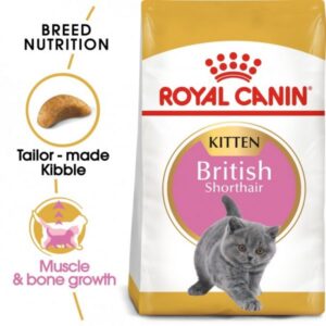 Royal Canin Feline Breed Nutrition British Shorthair Kitten Cat Food- 2 Kg