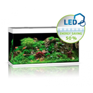 JUWEL AQUARIUM RIO 350 LED - WHITE