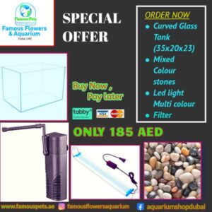 FISH TANK SPECIAL OFFER