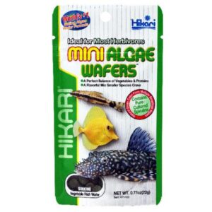 Hikari Mini Algae Wafers Fish Food- 22gm
