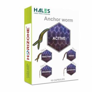 Horizone Hales Anchorworm 10 Capsule
