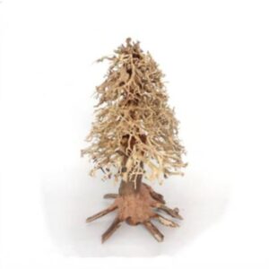 Christmas Tree Bonsai Wood - Medium 15x20x15cm
