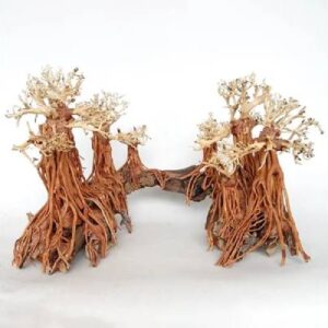 Romantic Bride Bonsai 50cm