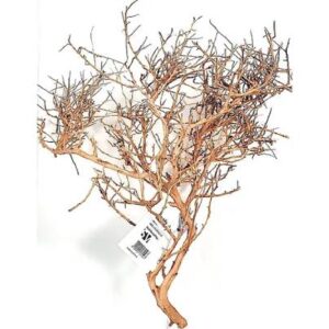 Tiny Ramous Wood