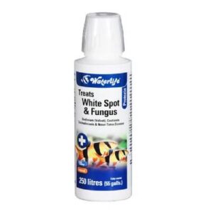 Water Life Whitespot & Fungus