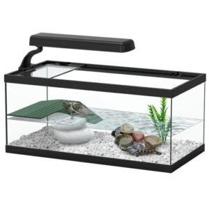 Tortum Turtle Tank Black